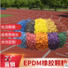 彩色EPDM填充顆粒運動場地專用 工廠直銷彈性環保型EPDM橡膠顆粒