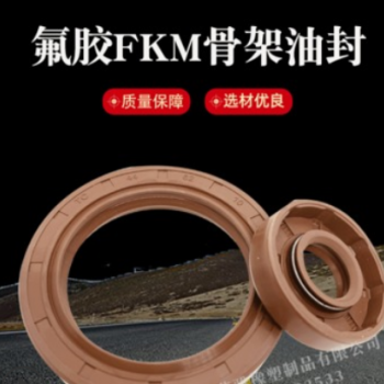 氟膠油封TC密封圈FKM 高溫酸堿旋轉軸用 油封密封件
