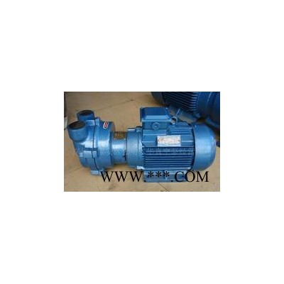 2BV2071水環(huán)真空泵，專業(yè)生產(chǎn)，直銷；塑料機械設(shè)備專用