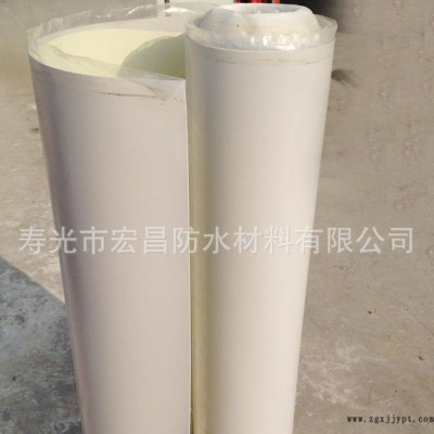 供應防潮防水卷材 山東壽光防水材料 eva防水卷材