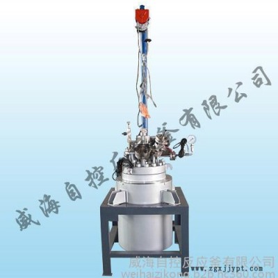 高壓釜  自控高壓釜  PTFE內襯高壓釜ZK-1743
