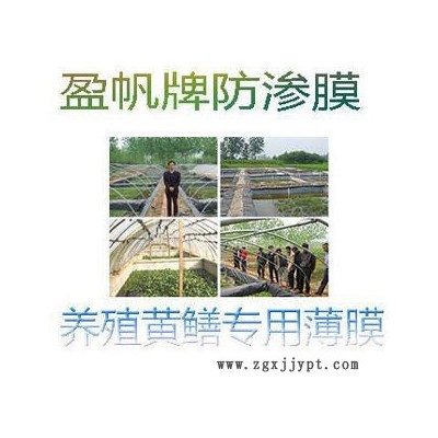 養殖泥鰍黃鱔專用HDPE防滲膜 水產膜 養殖膜 養殖塑料薄膜