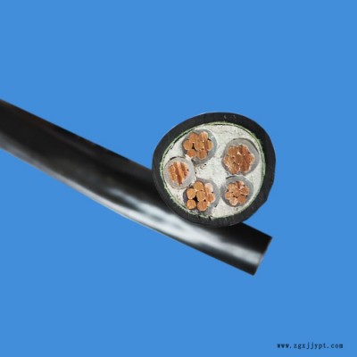 鄭星電力電纜 聚氯乙烯護(hù)套電纜 國(guó)標(biāo)電線電纜 鄭州三廠