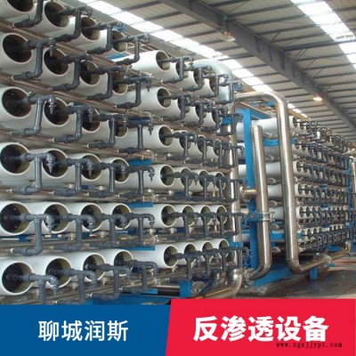 銷售雙級反滲透設備 聊城潤斯 反滲透設備pp 可定制 庫存足
