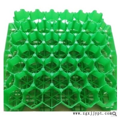 HDPE塑料植草格消防車道排水板耐 壓聚乙烯網格板塑料植草磚批發