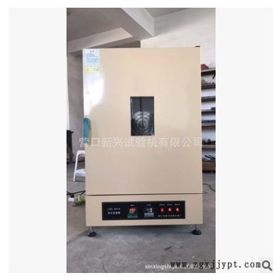 橡膠二次硫化高溫試驗箱 老化箱 定制尺寸 廠家直銷