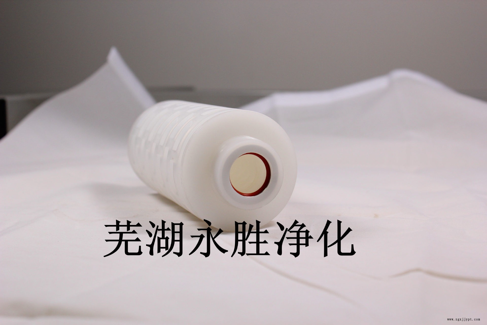 5英寸PTFE濾芯,內置密封圈1
