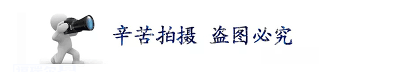 機械尼龍滑輪大載荷耐酸堿MC尼龍滾輪含油尼龍滾輪耐磨尼龍輪直銷示例圖3