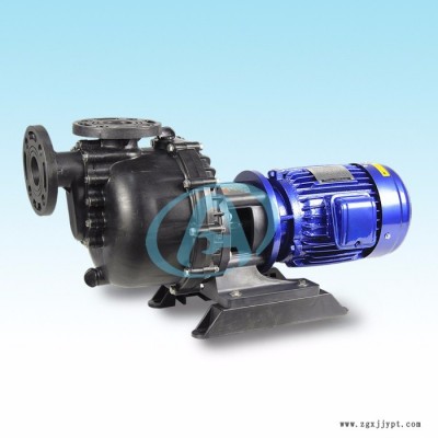 環亞泵業AD-50052 大頭泵廠家 自吸泵型號 耐酸堿泵 PVDF材質 耐腐蝕泵 深圳磁力泵廠家 水泵型號