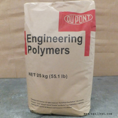 PA66   杜邦 Zytel PA66 FG133F1 NC010 食品級，脫模劑