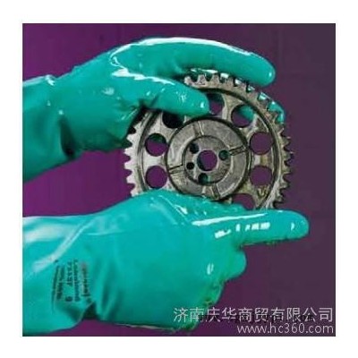 雷克蘭丁晴膠高性能抗化學手套EN10 防護手套