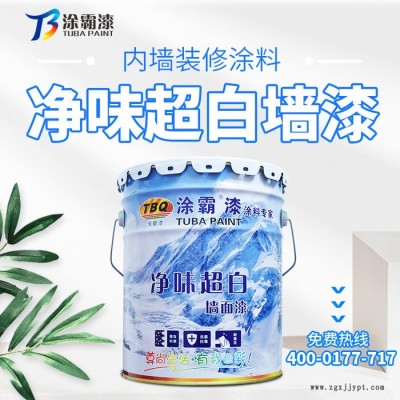 廣東涂料 乳膠漆 內外墻乳膠漆廠家