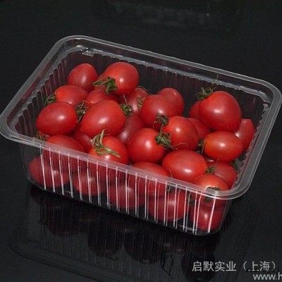 **】透明水果盒 環保無污染 精致實用