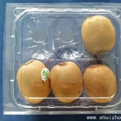 一次性水果包裝盒、一次性透明蔬菜包裝盒 廣舟包裝專業設計定制果蔬包裝盒