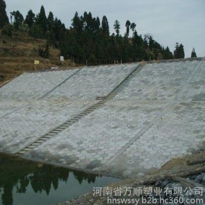 高速高鐵水庫河道機場護坡空心實心六棱塊六角磚塑料模具地磚模具 六角護坡模具