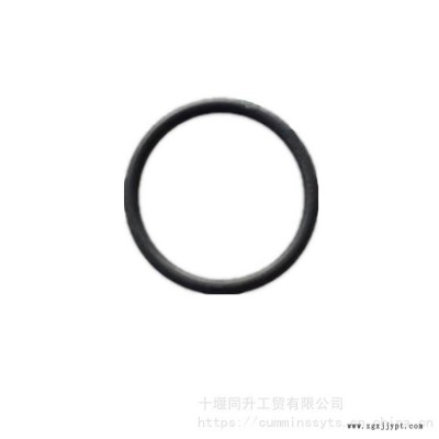 康明斯QSM11發動機配件O型密封圈3032787進口康明斯M11柴油機O型密封圈145531