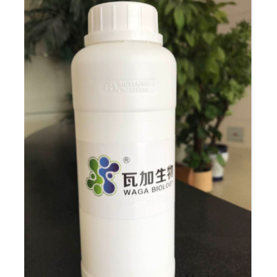 天津專業粉末涂料抗菌劑全國發貨  服務 上海瓦加生物科技供應