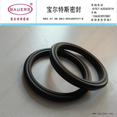 旋轉(zhuǎn)軸用齒形滑環(huán)式組合密封TB3-I 發(fā)動(dòng)機(jī)齒輪箱密封 高壓旋轉(zhuǎn)密封