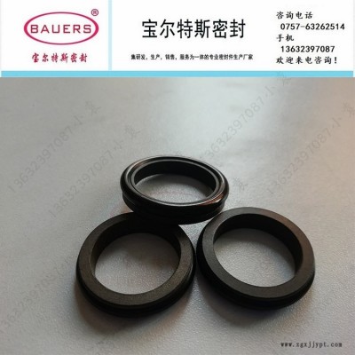 活塞桿軸用C形滑環(huán)式組合密封TB4-IA C型氣動(dòng)密封 寶爾特斯
