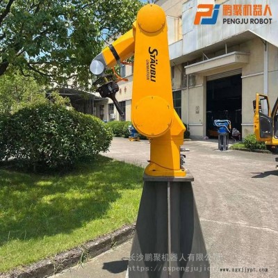 史陶比爾RX160 二手機(jī)械手上下料機(jī)器人自動上下料機(jī)械手機(jī)械臂 激光切割機(jī)器人