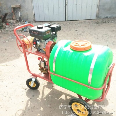 7.5馬力汽油機(jī)手推打藥機(jī) 潤(rùn)發(fā)機(jī)械手推噴藥機(jī) 手推高壓拉管噴霧機(jī) 高壓氣霧 噴霧器